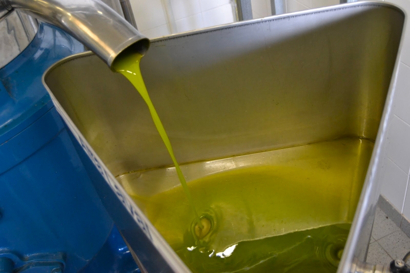 olio-1