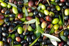 olive