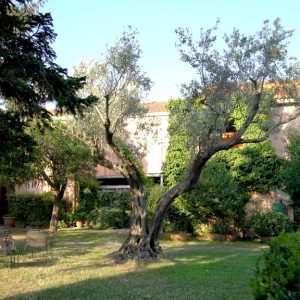 Giardino-esterno-con-alberi-Contrada-Guido-2